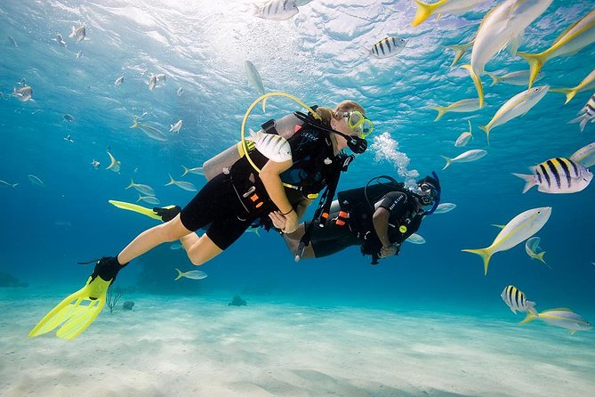 scuba-diving-for-beginners